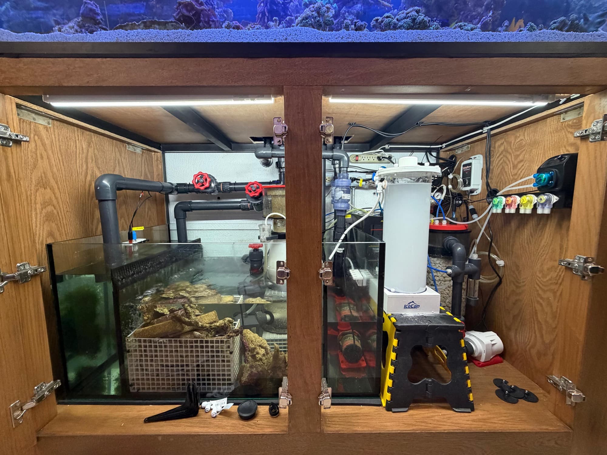 Entrega e instalación de pecera — foto 3