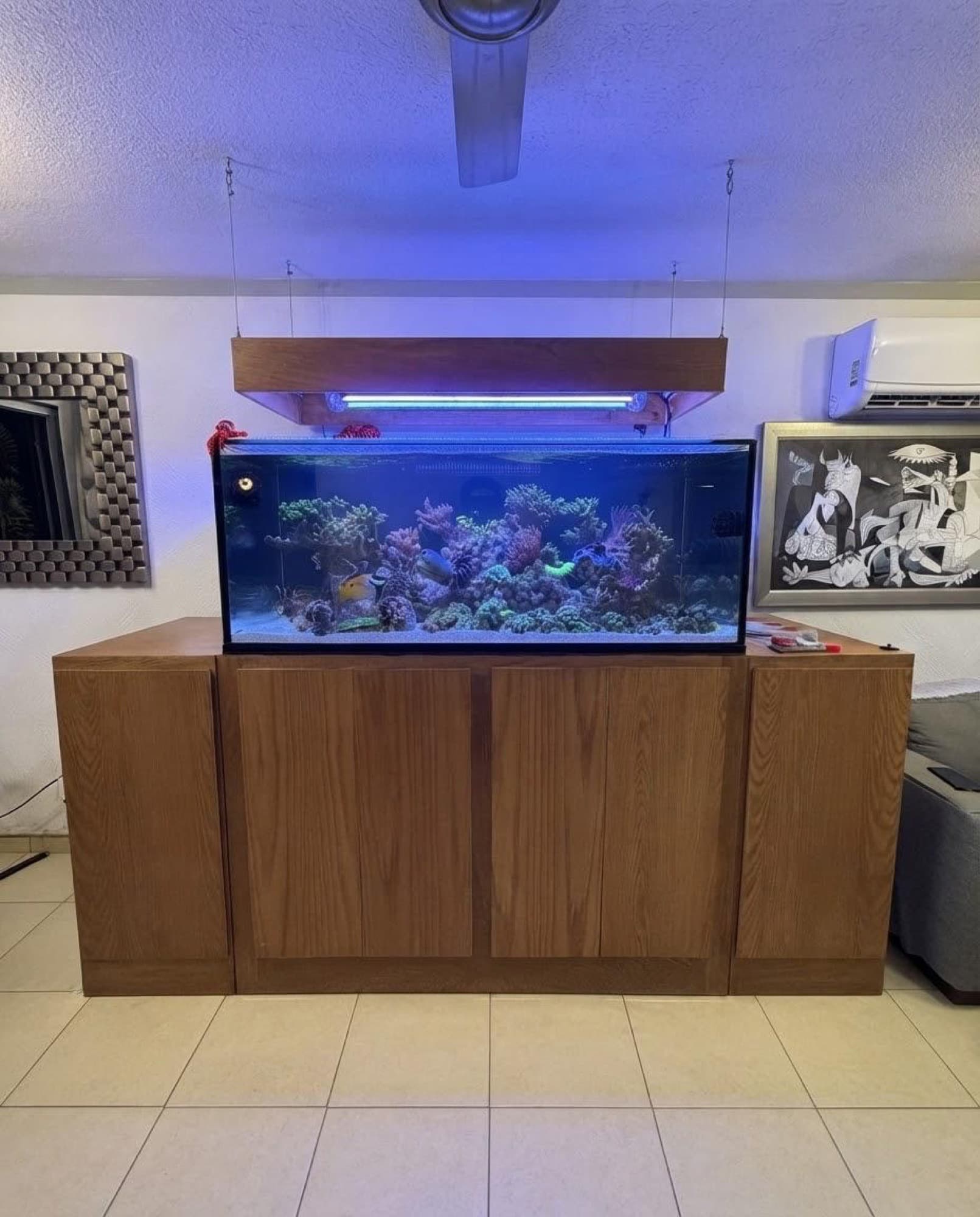 Entrega e instalación de pecera — foto 4