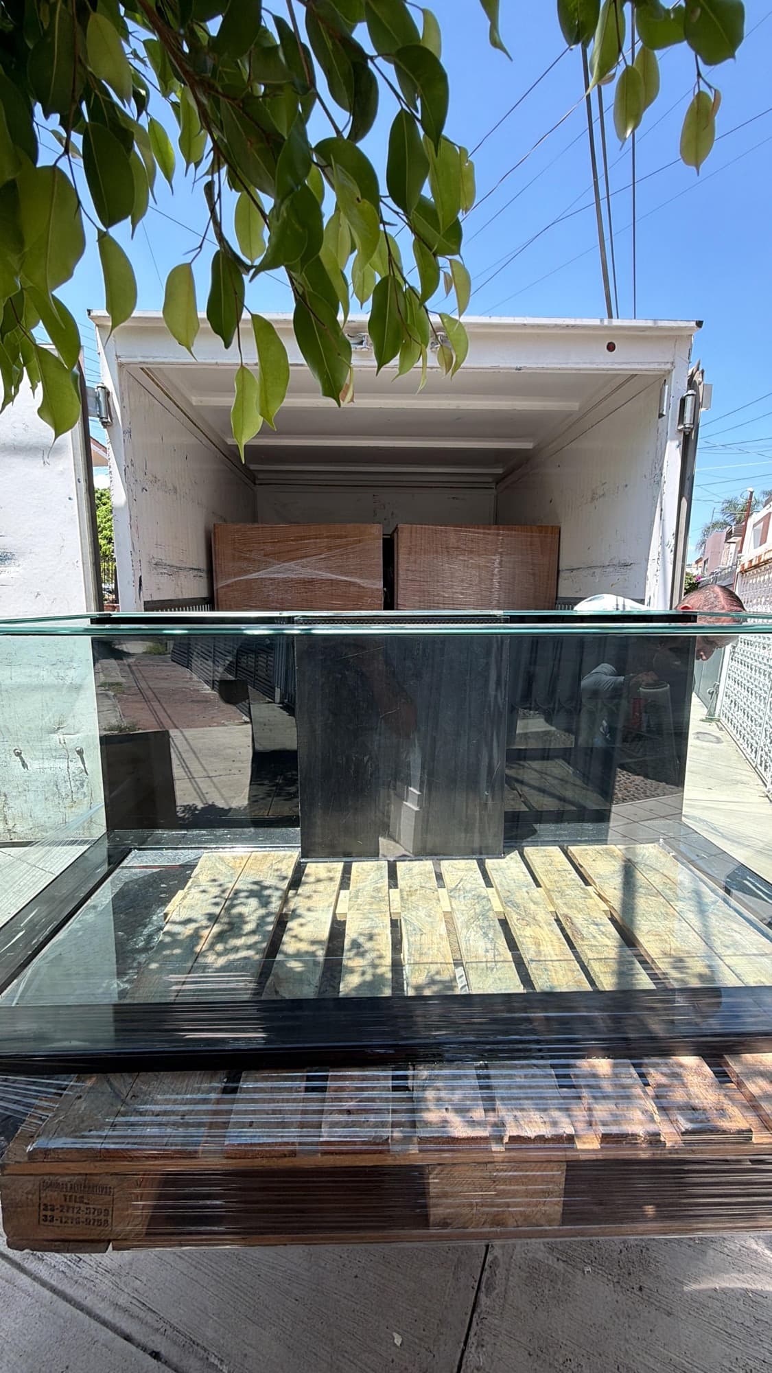 Entrega e instalación de pecera — foto 8