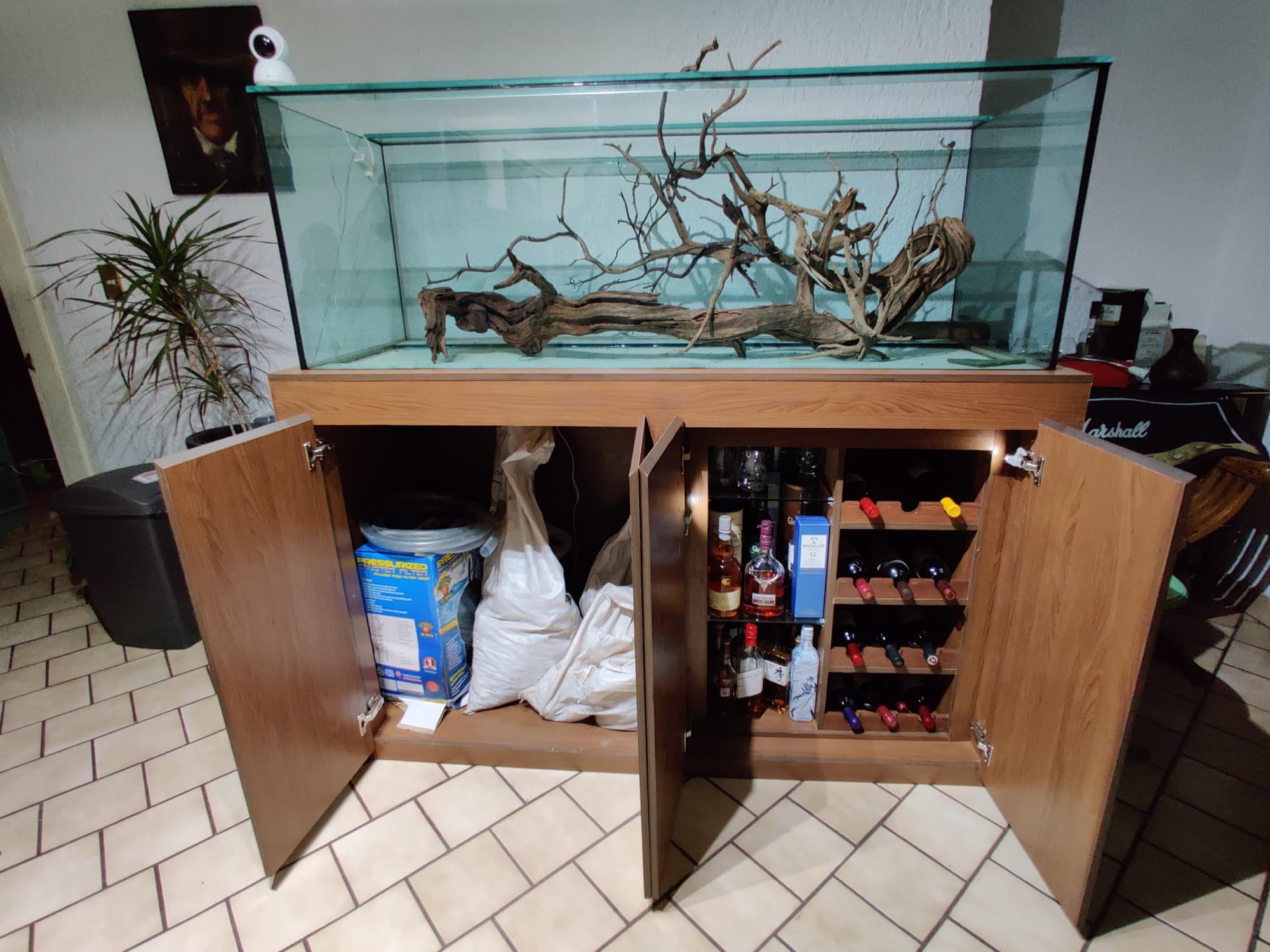 Pecera con base de madera y hardscape — foto 1