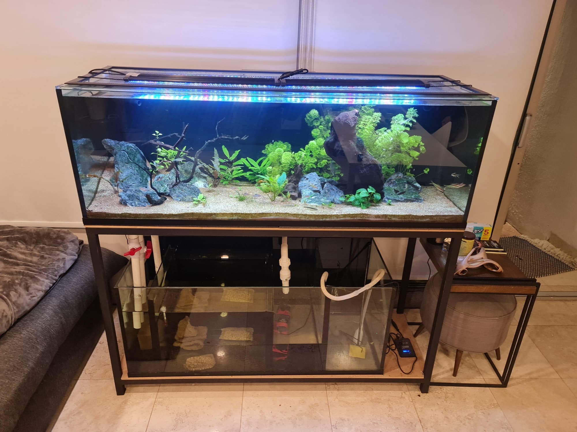 Pecera con base de madera y hardscape — foto 5