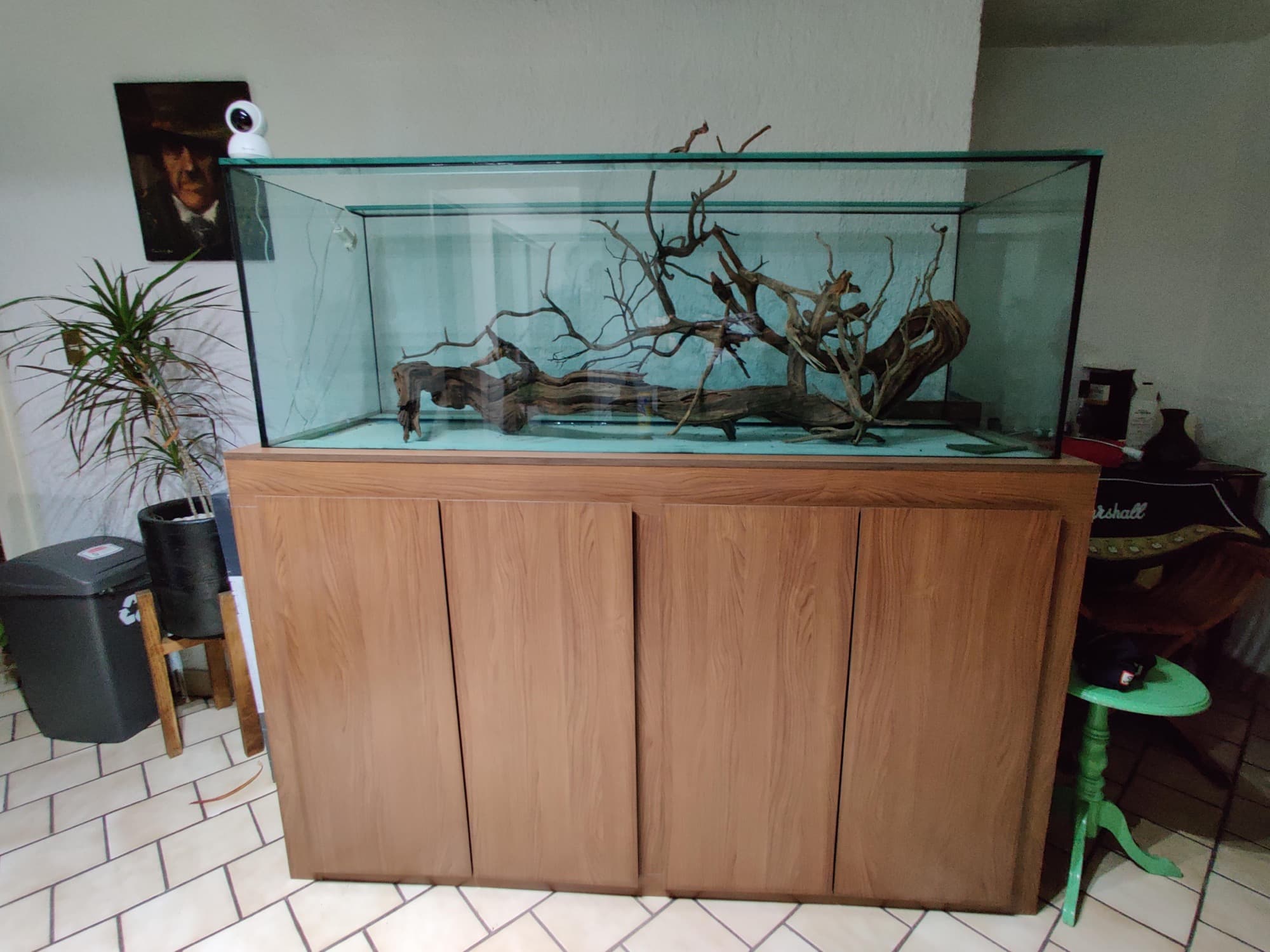 Pecera con base de madera y hardscape — foto 10